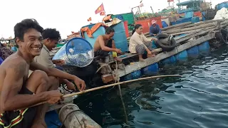 câu cá biển.cá hòn chuối kéo mê tay.tràm vàng.tràm xanh.đổng bí.cá rìa.Câu Ngâm Tại Bè Nuôi Cá Bóp