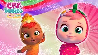 ΣΥΛΛΟΓΉ ΟΛΟΚΛΗΡΩΜΈΝΩΝ ΕΠΕΙΣΟΔΊΩΝ ⭐ CRY BABIES 💦💕 Κινούμενα ΣΧΈΔΙΑ Για ΠΑΙΔΙΆ στα ΕΛΛΗΝΙΚΆ