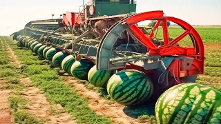 30 Minutes Satisfying Video Working & Exciting Factory Machines, Ingenious Tool, Admirable Worker▶28