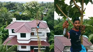 വീടിന്റെ മുന്നിലെ തേക്ക്മരം  തോല് കിയിച്ചപ്പോൾ!!ഞങ്ങൾക് സംഭവിച്ചത്!!