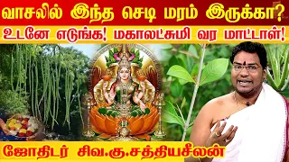 வீட்டில் ஸ்ரீ மஹாலக்ஷ்மி - யின் வரவை தடுக்கும் மரம் செடிகள் | Mahalakshmi Kadaksham  | Vastu Plants