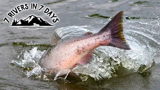 Fishing 7 Rivers In 7 Days, Over 600 Miles Traveled. - 7 Day Challenge Official Movie