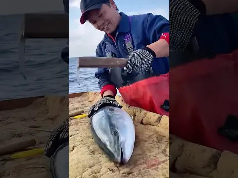 The 3-Second Humane Fish Dispatch 🐟 #seafood #fishing  #shorts