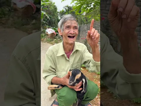 Chú dê đáng thương và ông nội tội nghiệp😥🐐 #shorts