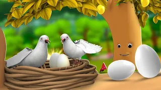 Magical Tree Pigeon Eggs 3D Animated Hindi Moral Stories for Kids JOJO TV