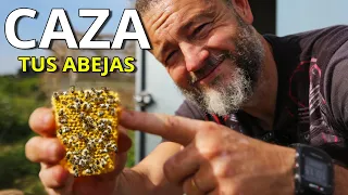 CAZA tus propias ABEJAS... Este TRUCO me lo dijo un APICULTOR (COLMENAS GRATIS)