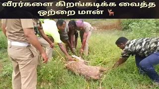 A deer that fell into a well.   Firefighters who fought and rescued 🫣🫣🫣🫣