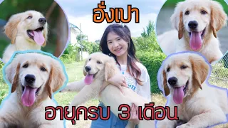อั่งเปาอายุครบ 3 เดือน