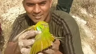 Chidiya kalakar man mein saaf gaya tha