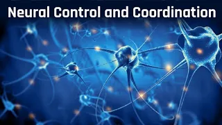 BPSC TRE | BIOLOGY Class - Neural Control and Coordination | Bihar Teacher Bharti Daily Live Class