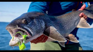 Hand fishing in abandoned places.  #viral #viralshorts #FunnyVideo #Entertainment