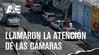 ⚠️ ATRAPADOS POR UN ERROR ABSURDO en las calles de México 📹 CAM ALERT: CAPTURA EXITOSA