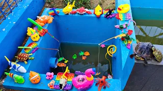 Wow Seru Memancing Ikan Hias Dikolam, Ikan Mas, Koi, Kura Kura Asli, Bebek, Angsa, Part227