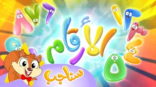 Marah Sanajib - مرح سناجب | أغنية الأرقام