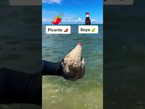 QUÉ OBJETO ESTÁ EN LA ARENA 🏖 nivel 3