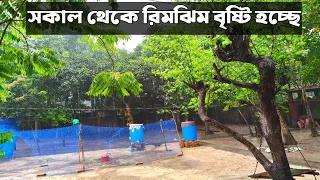 সকাল থেকে রিমঝিম বৃষ্টি হচ্ছে।