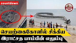 விசித்திர ஒலியெழுப்பும் பாம்பு | ohm sound water fountain |SFIT | Tamil