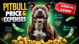 Pitbull Price & Monthly Expenses in the USA 💰 | Full Cost Breakdown!