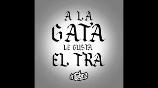 a la gata le gusta el tra - dj cobra, dj fresh
