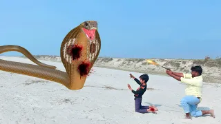 Anaconda Snake in Real Life Part 6 HD Video || snake video || Snake || Anaconda