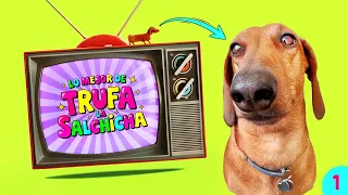 Lo MEJOR de Trufa la Salchicha! 💖 | Salchi-Visión Ep:1🌭