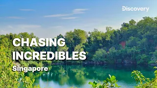 Chasing Incredibles | Discovery x MediaTek | Episode 3 Brian McDairmant