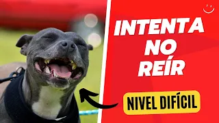 CHISTES SOBRE ANIMALES 1