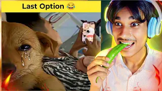 Try Not To Laugh 😂 Spicy chilli 🌶️ (EXTREME!) Challenge | 
