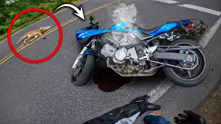 ANIMALS vs BIKERS | WHAT HAPPENS WHEN BIKERS AND ANIMALS MEET