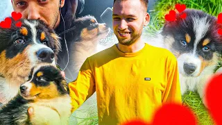 J'ADOPTE MON CHIEN !!! 🥰🐶