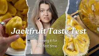 Opening a Jackfruit for the FIRST time