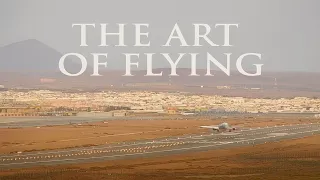 The Art of Flying