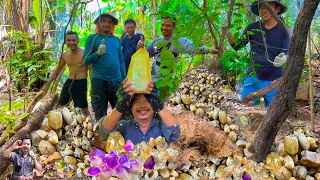3Days Finding Natural Amethyst, Quartz Crystal Gemstones At The Mountain (Episode 15)