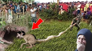 Allah Hu Akbar || अल्लाह के वली ने मुसलमानो पर जुल्म करने वाली को गिरगिट बना डाला || Allah Ka Azab