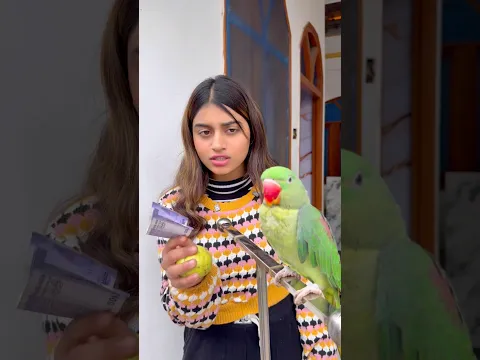🦜पैसे चुरा लाया तोता🥰#Parrot #video #training 👌❤️#Parrot #dosti #video #pigeon #video #trending