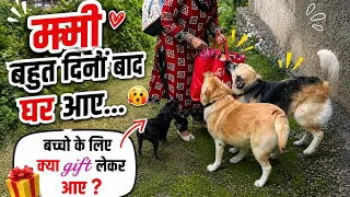 mmi ke ghr aane ki khushi 😍 || labra rubi || #youtube #vlog #labrador #dog #cute 