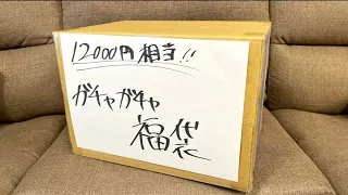 【絶対買うな】3000円のガチャガチャ福袋が完全にアウトだった【2024福袋】