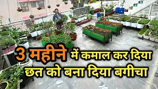 3 महीने में कमाल कर दिया छत को बना दिया बगीचा