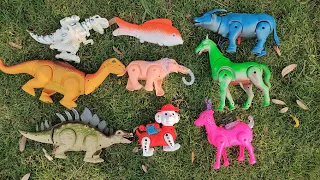ปลา ไดโนเสาร์ ช้าง ม้า วัว ควาย นอนอยู่บนสนามหญ็าในสวน elephant cow buffalo fish horse dinosaur