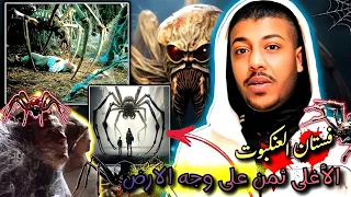 فستان العنكبوت ( الاغلى ثمن على وجه الارض 😰!)