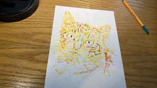 Drawing  Cat / Kitty! 😻🙀