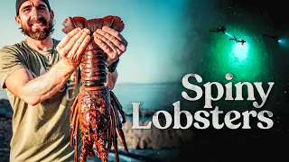 Catching Lobsters with our Bare Hands!