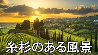 糸杉のある風景　　弾き語り：M.SASAO