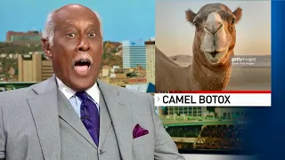 Best News Bloopers 2021