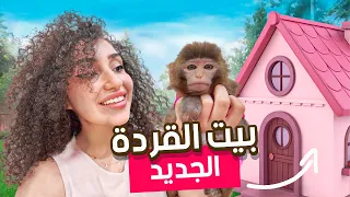 عملت بيت جديد للقردة 😍