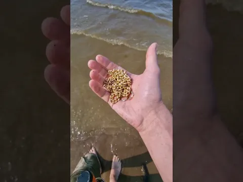 Kilo of gold on the beach in a day!