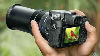 Best Zoom Cameras 2026 - Top Superzoom Cameras 2026