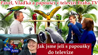 Pavel, Vlaďka a papoušci v televizi Praha TV v pořadu Tak určitě!