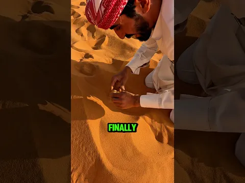Million-dollar Sand fish. 💰