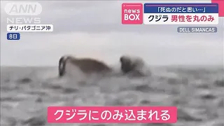 「死ぬのだと思い…」クジラ 男性を丸のみ　チリ【スーパーJチャンネル】(2025年2月14日)